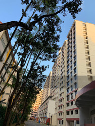 Blk 297 Choa Chu Kang Avenue 2 (Choa Chu Kang), HDB 5 Rooms #203103281